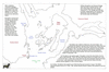 bro29 nootka_thumb.gif